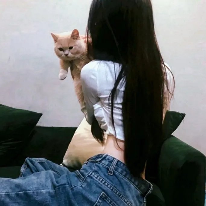 莎德莱克